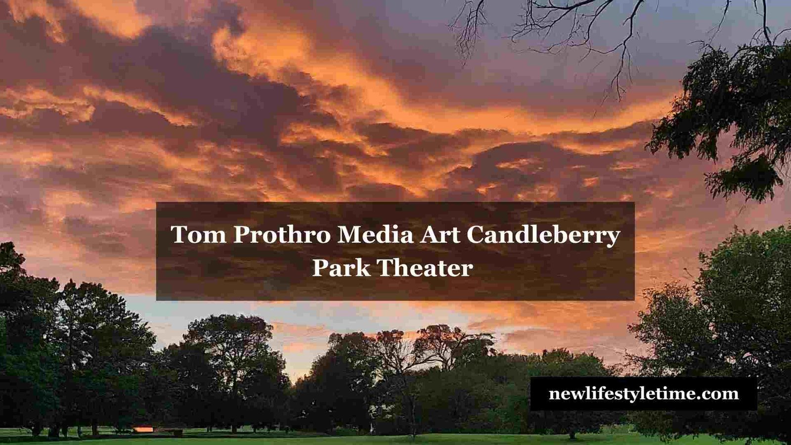 Tom Prothro Media Art Candleberry Park Theater